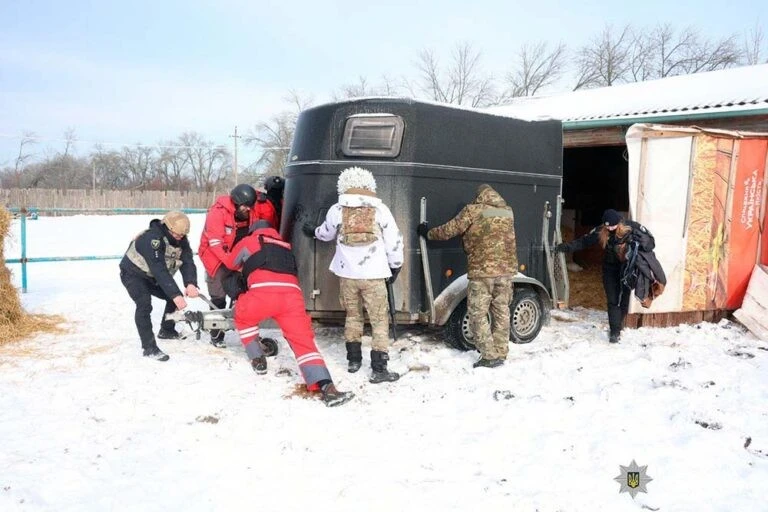 Порятунок під прицілом ворожих дронів: коней зі Старосалтівської громади перевозять до Харкова