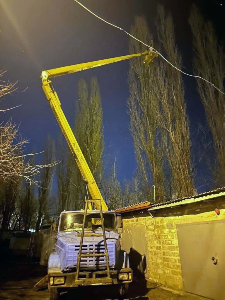 У Харкові провели складну операцію з порятунку домашньої кішки з верхівки тополі